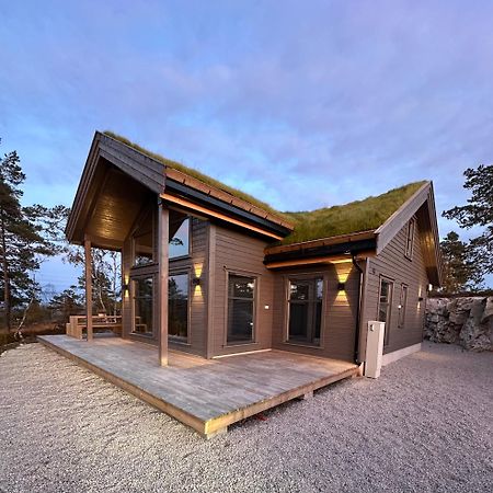 Modern Northern Lights Cabin Drangedal Экстерьер фото
