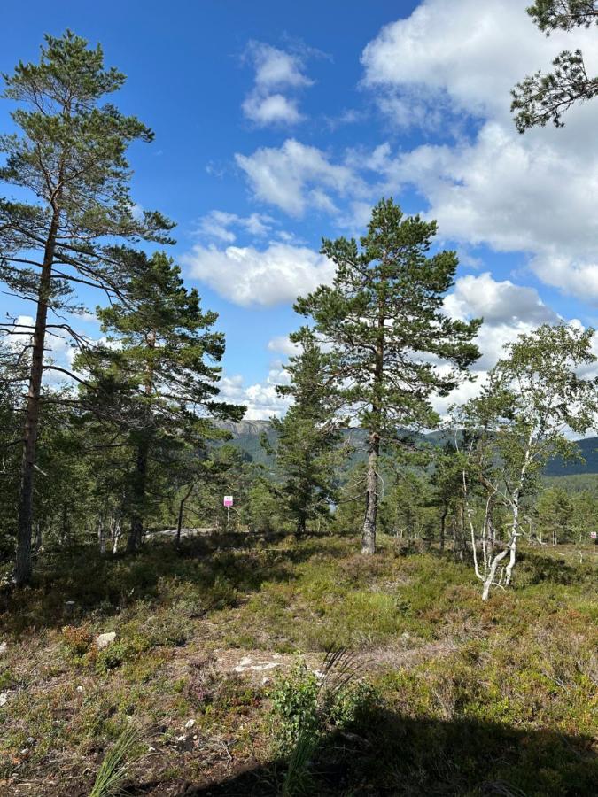 Modern Northern Lights Cabin Drangedal Экстерьер фото