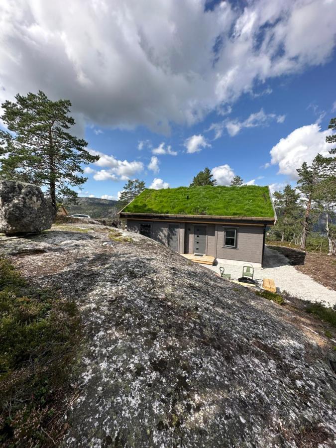 Modern Northern Lights Cabin Drangedal Экстерьер фото