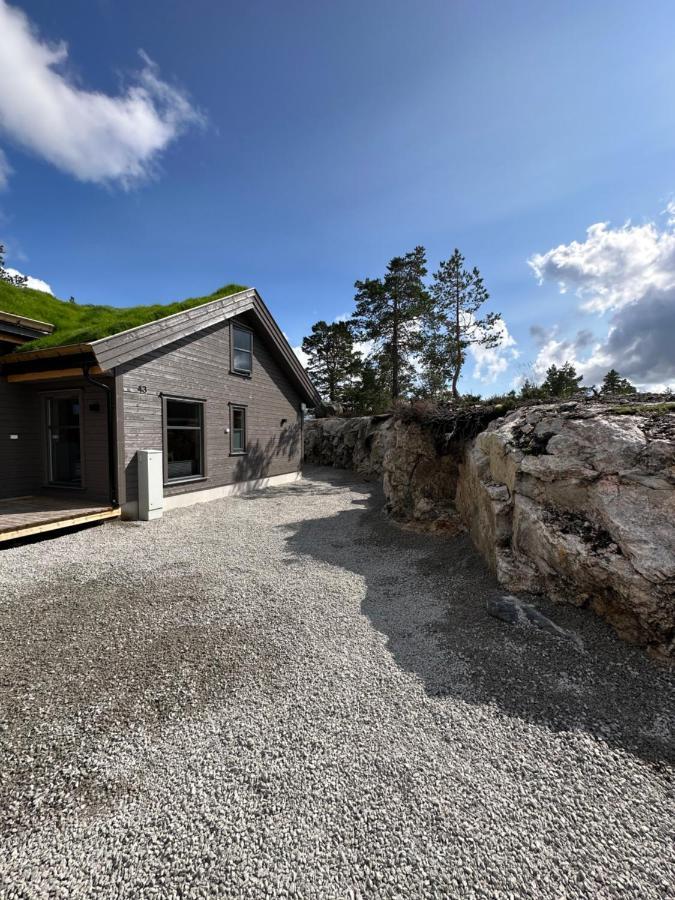 Modern Northern Lights Cabin Drangedal Экстерьер фото