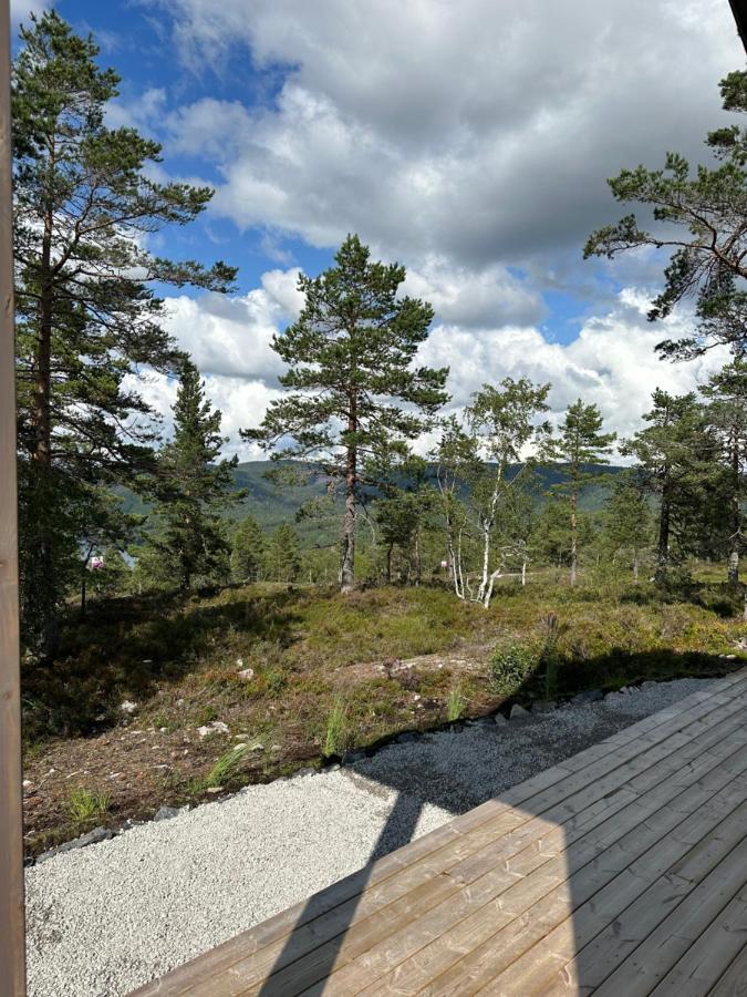 Modern Northern Lights Cabin Drangedal Экстерьер фото