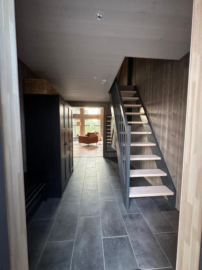 Modern Northern Lights Cabin Drangedal Экстерьер фото