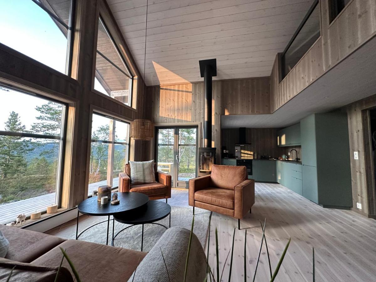 Modern Northern Lights Cabin Drangedal Экстерьер фото