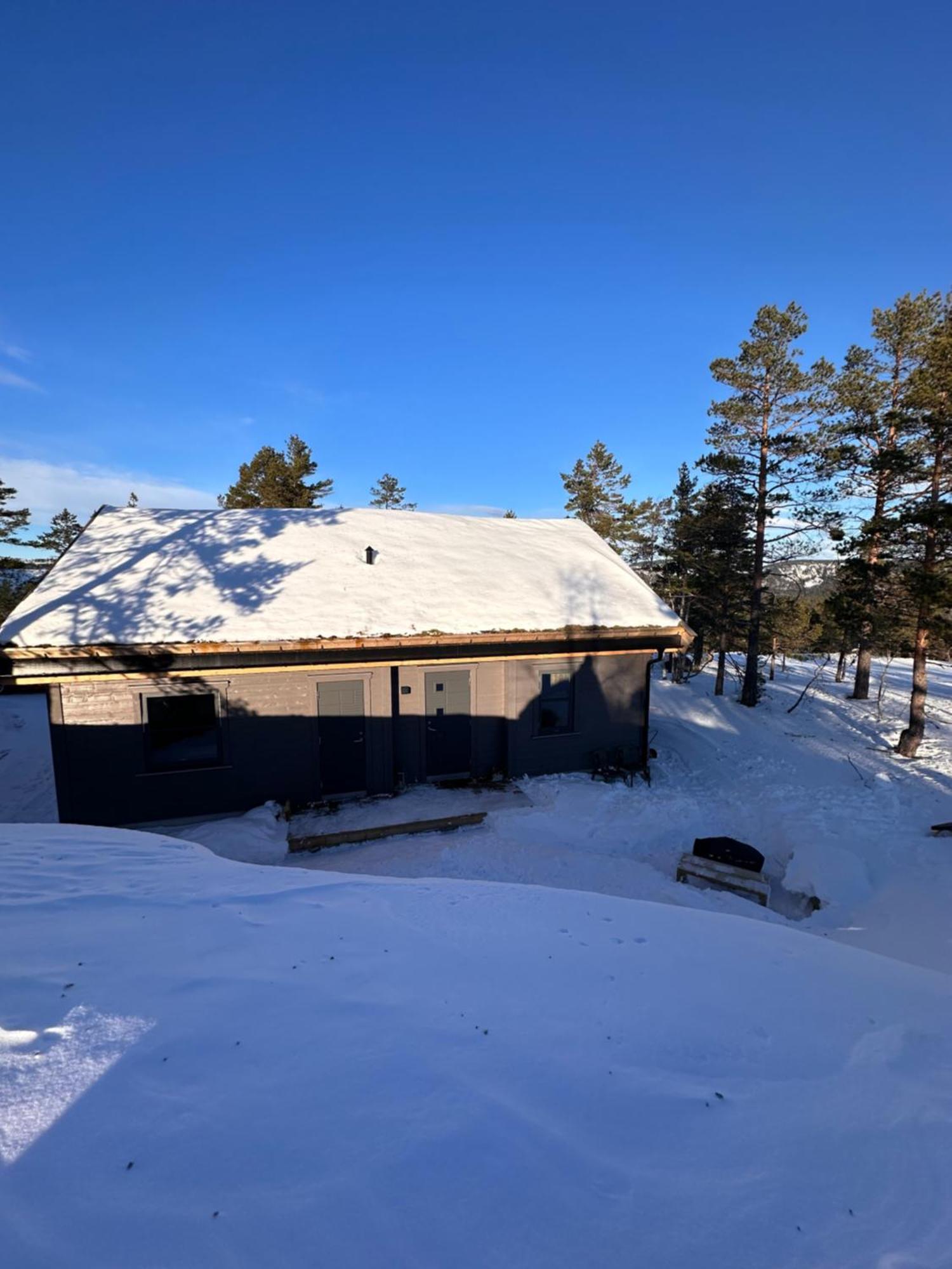 Modern Northern Lights Cabin Drangedal Экстерьер фото