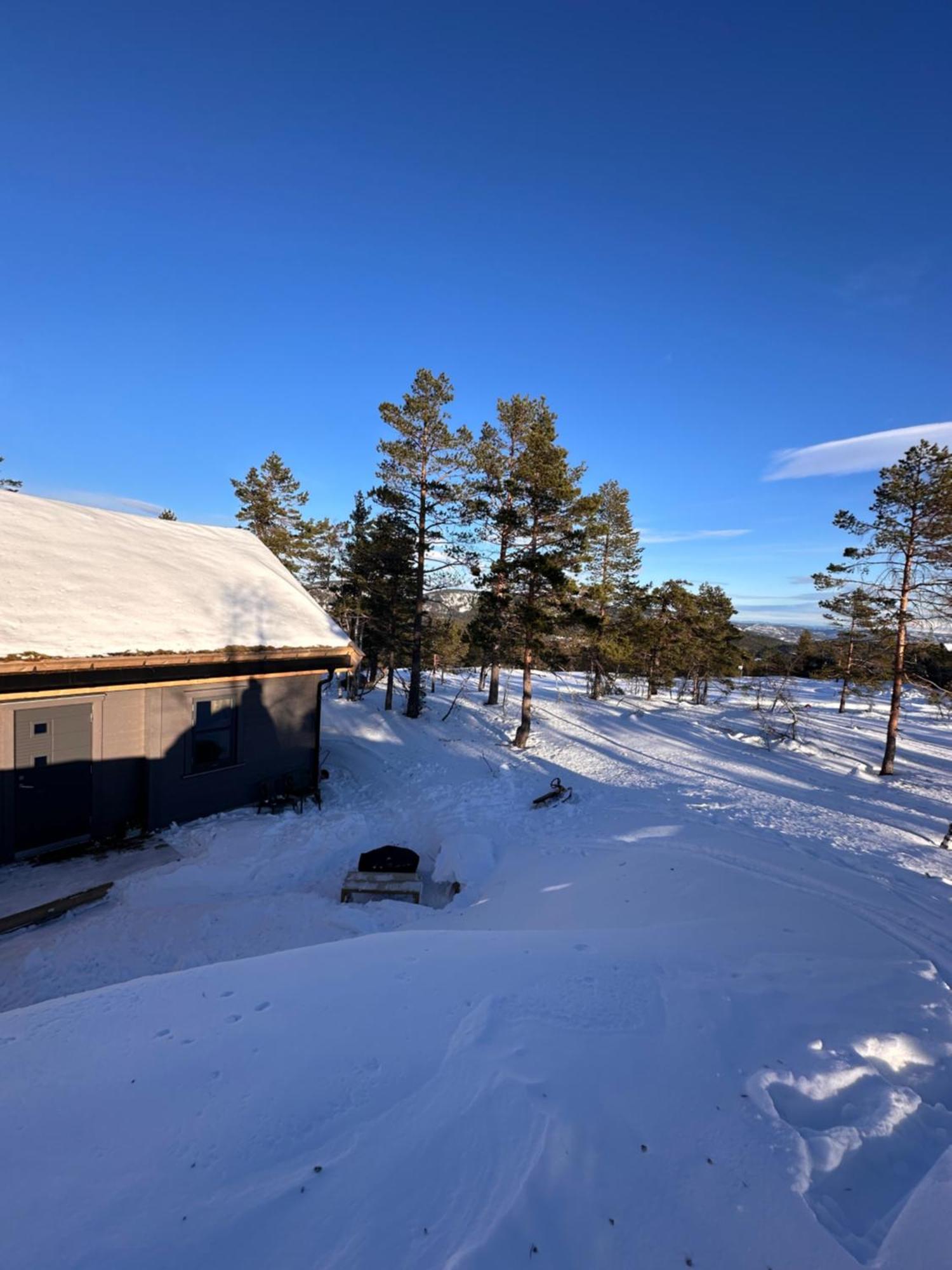 Modern Northern Lights Cabin Drangedal Экстерьер фото