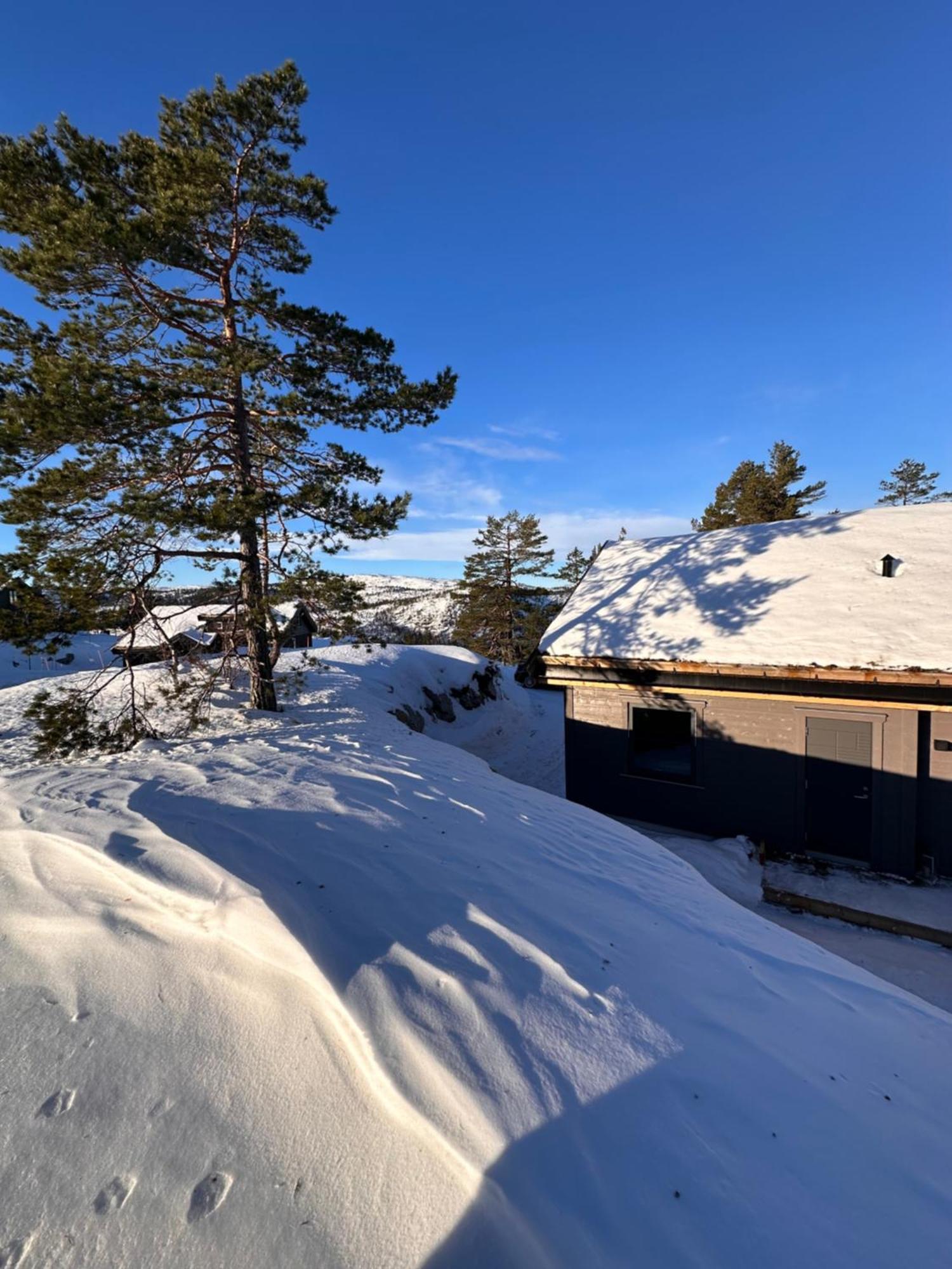Modern Northern Lights Cabin Drangedal Экстерьер фото