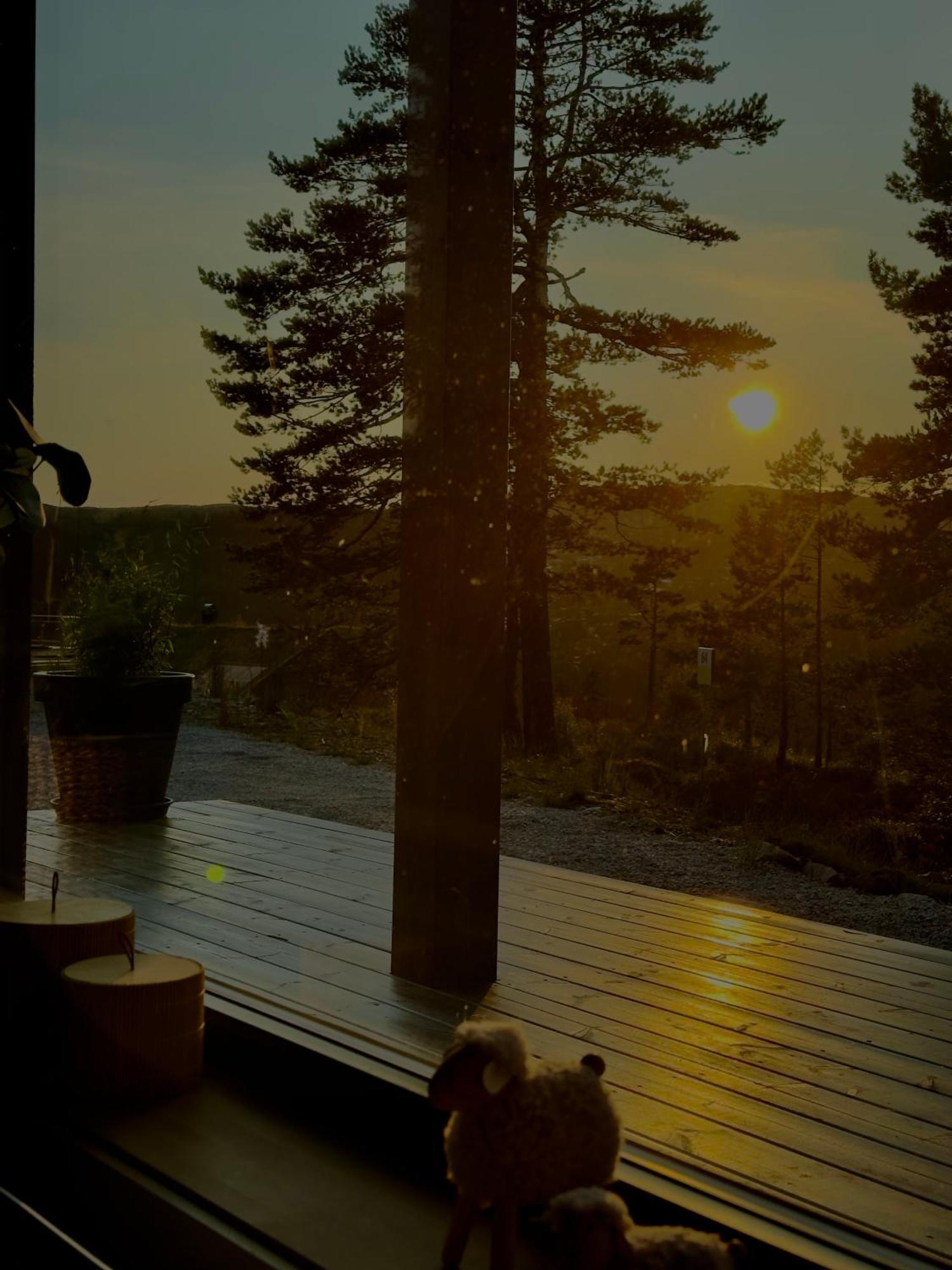 Modern Northern Lights Cabin Drangedal Экстерьер фото