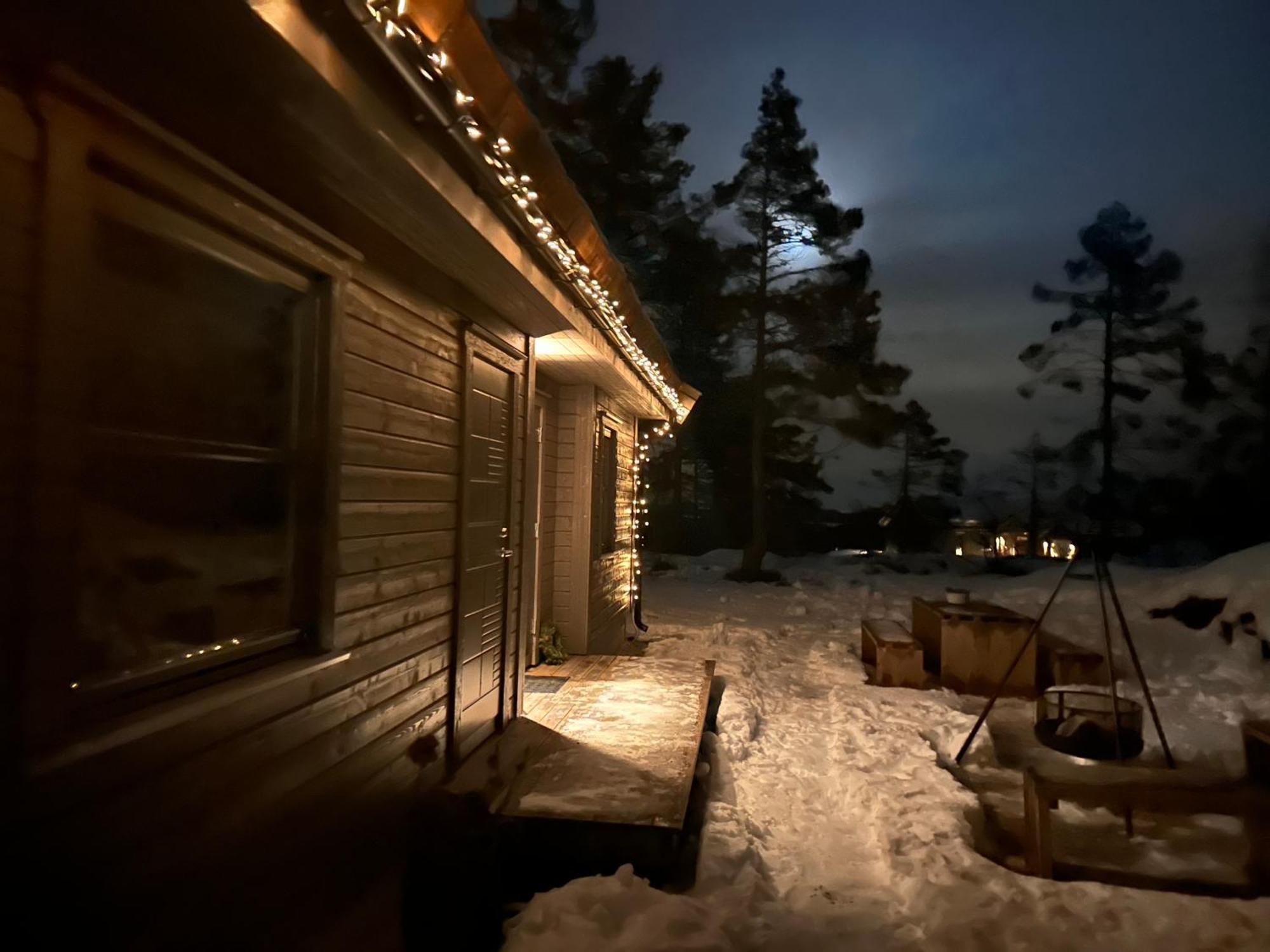 Modern Northern Lights Cabin Drangedal Экстерьер фото